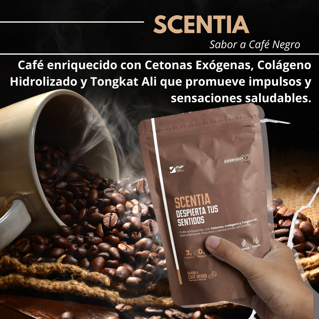 SCENTIA - Café