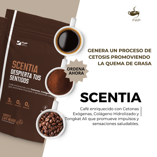 SCENTIA - Café
