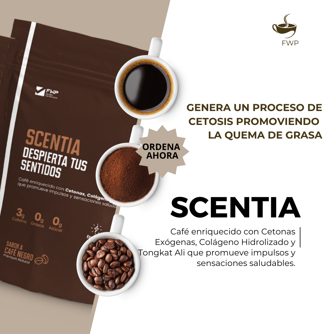 SCENTIA - Café