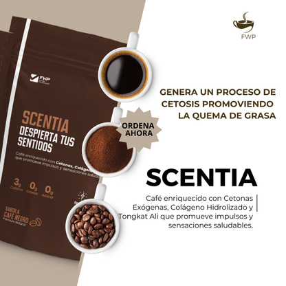 SCENTIA - Café